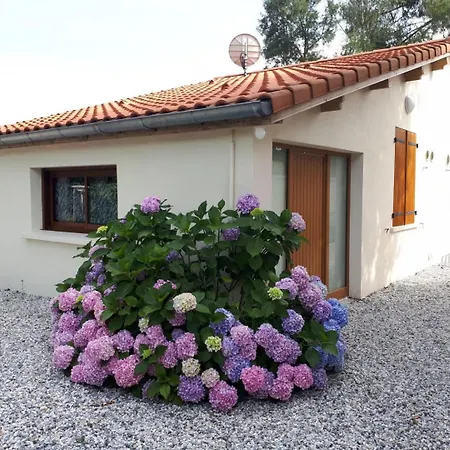 La Maison Des Marguerites *