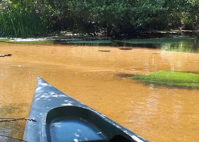 La Maison Des Marguerites Holiday home *