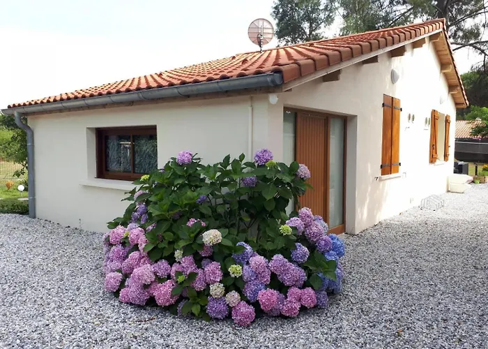 La Maison Des Marguerites *